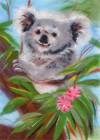 Шерстяная акварель, набор Добродушная коала