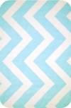 , 4848 ,  Chevrons&Zigxags Cuddle, Turquoise/Snow