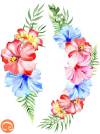    4, 