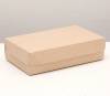 Упаковочная коробка-контейнер Cake1900, 23х14х6 см