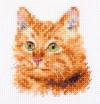 Набор для вышивания 8х8см Животные в портретах. Рыжий кот
