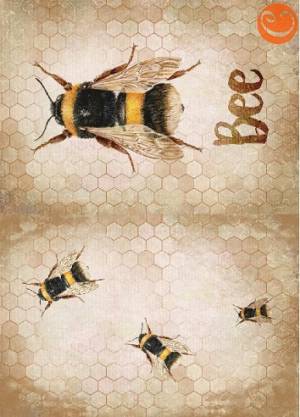   4 Bee