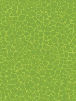  DECOPATCH   