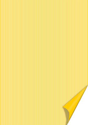   Stripes , 4