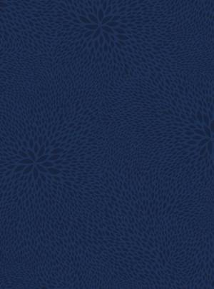  DECOPATCH  -