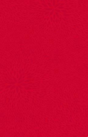  DECOPATCH  -