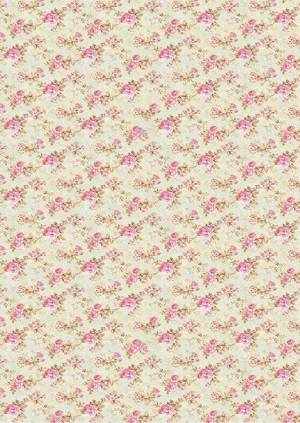    ProArt, 13,519, .  