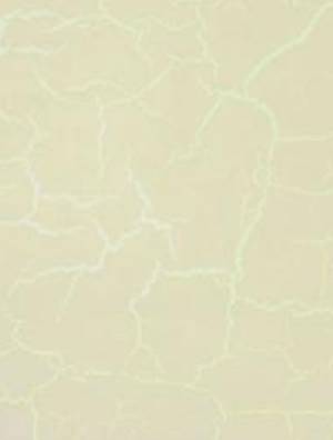      Spider Crackle, 70,  