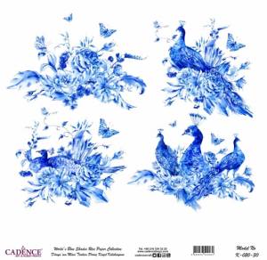   Blue Shades Cadence 3030, 4  