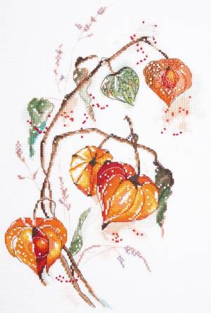 ����� ��� ��������� 21�30�� �������