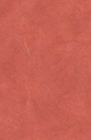 Шелковая бумага, 32х47,5см, цвет Медь